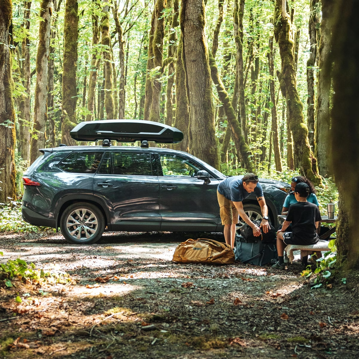 Thule Force 3 Versatile roof-mounted cargo box