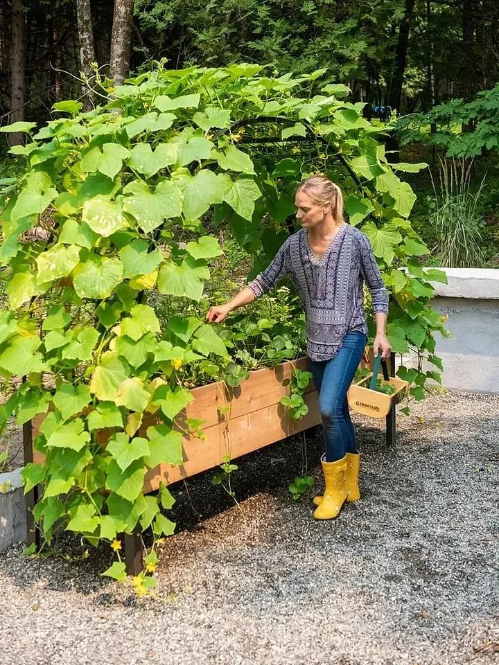 🔥8' X 2' x 4' Self-Watering Eco-Stained Elevated Planter Box+ Arch Trellis