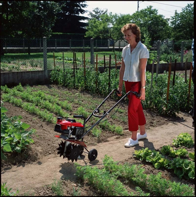 Honda FG201 Tiller