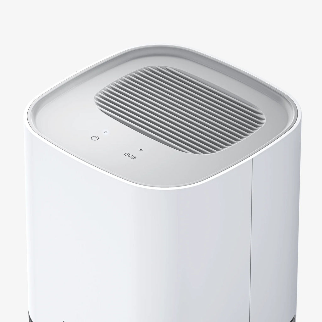 1000ml Dehumidifier with 4-hour Timer and LED Light