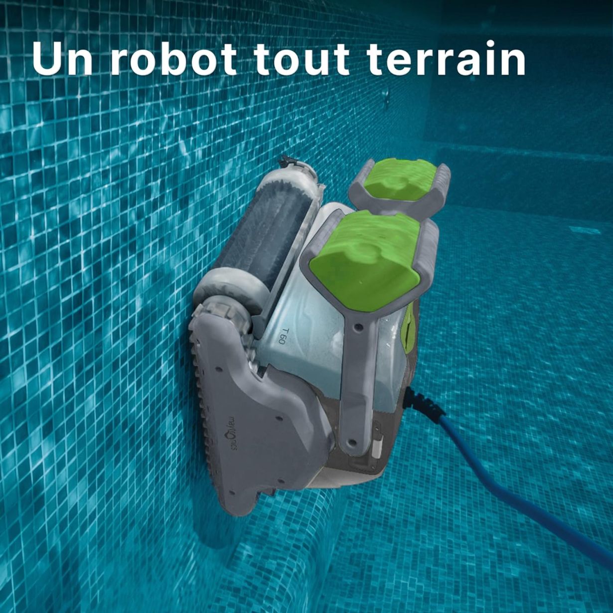 DOLPHIN T60 Electric Pool Cleaner Robot - Wall Cleaning, In-Ground Pool Up to 15 m