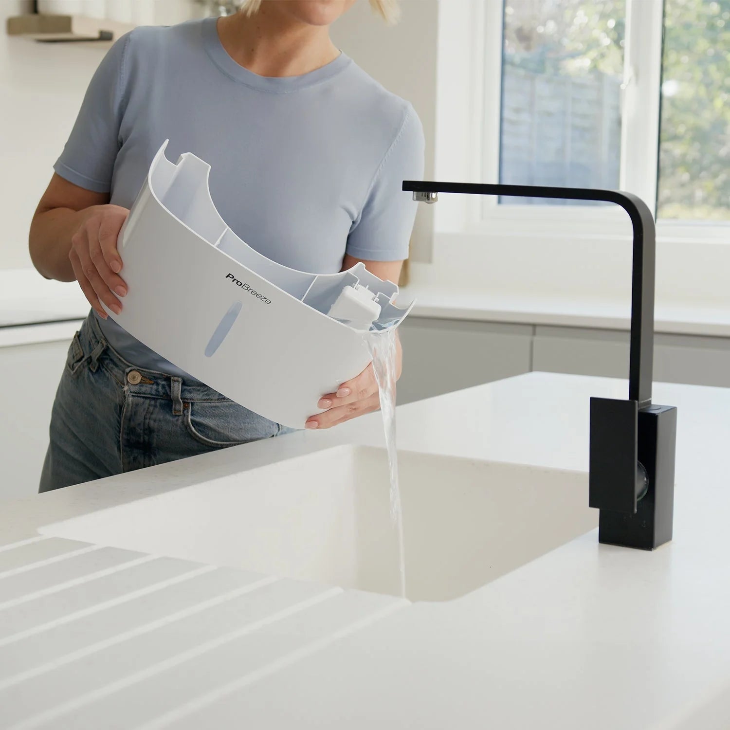 12L Dehumidifier with Built-in Humidistat