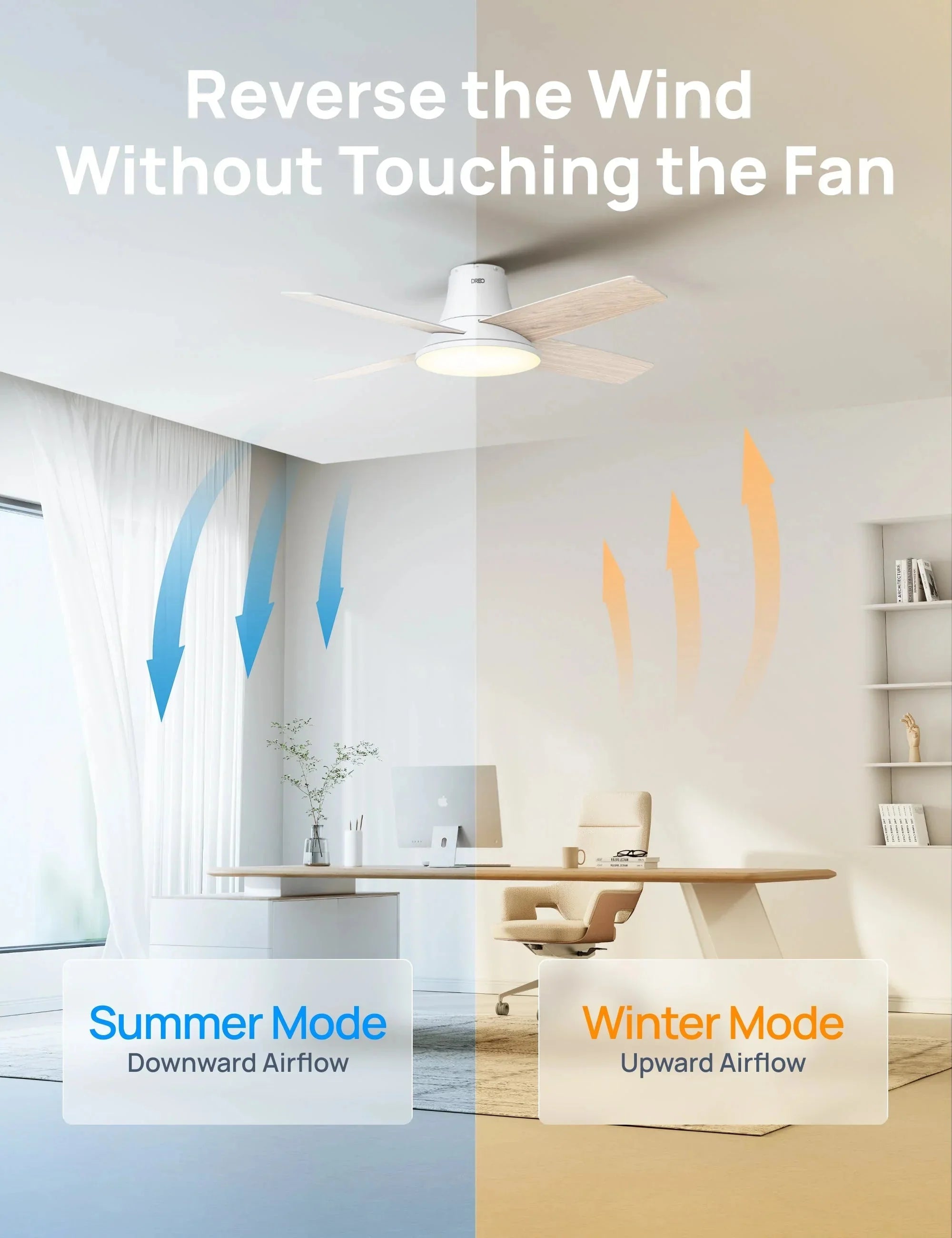 Ceiling Fan 513