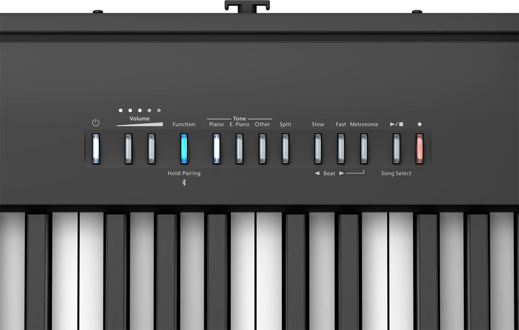 Roland FP-10 Digital Piano - Black Bundle with KSC-FP10 Stand, Bench, Sustain Pedal, Instructional Book, Online Lessons, Instructional DVD, and Austin Bazaar Polishing Cloth
