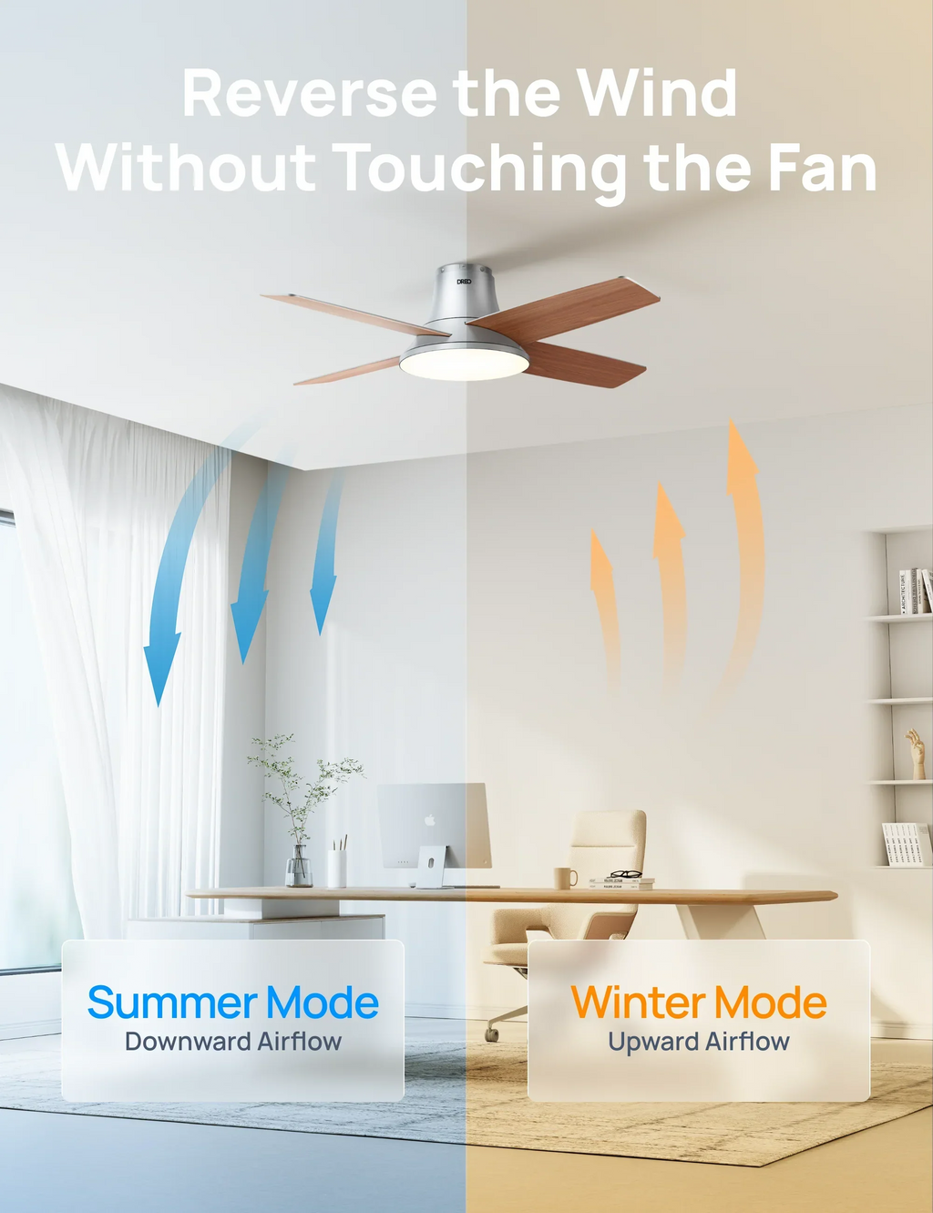 Ceiling Fan 513
