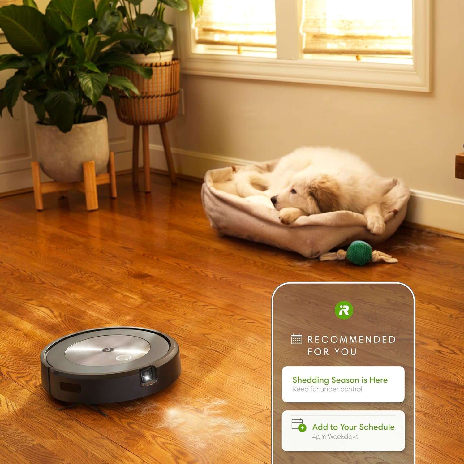 iRobot Roomba j7+ Self-Emptying Robot Vacuum – Avoids Obstacles & Pet Mess, 60-Day Auto Empty