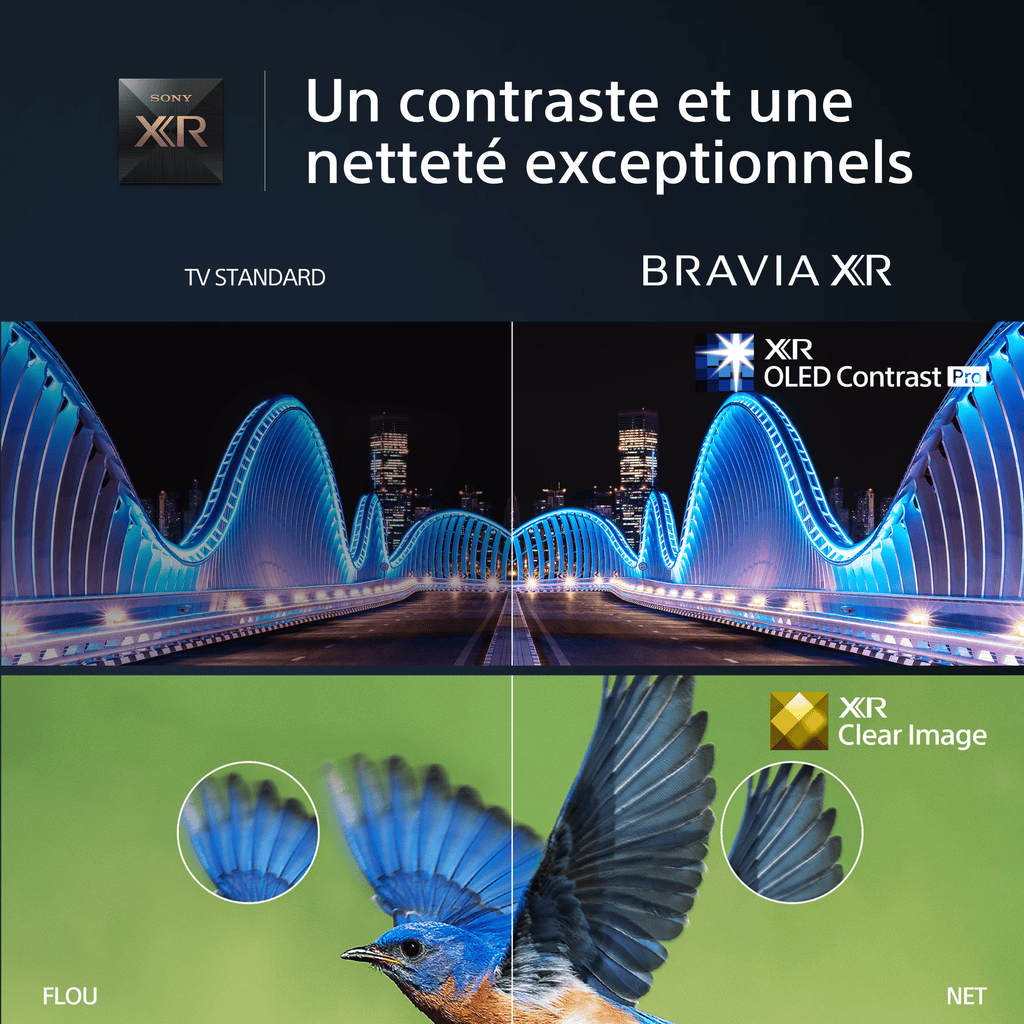 SONY TV | A80L | BRAVIA XR | OLED | 4K UHD | High Contrast HDR | Smart TV (Google TV)