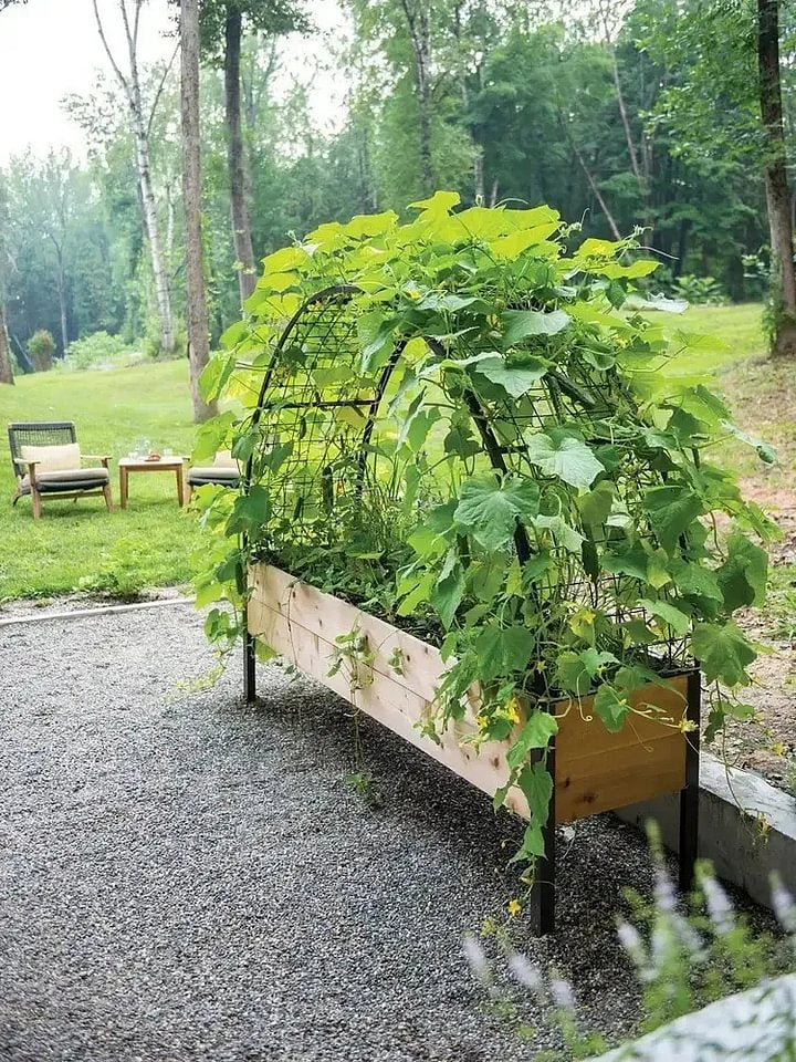 🔥8' X 2' x 4' Self-Watering Eco-Stained Elevated Planter Box+ Arch Trellis